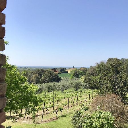 Agriturismo La Leccia Villa Bibbona Eksteriør bilde
