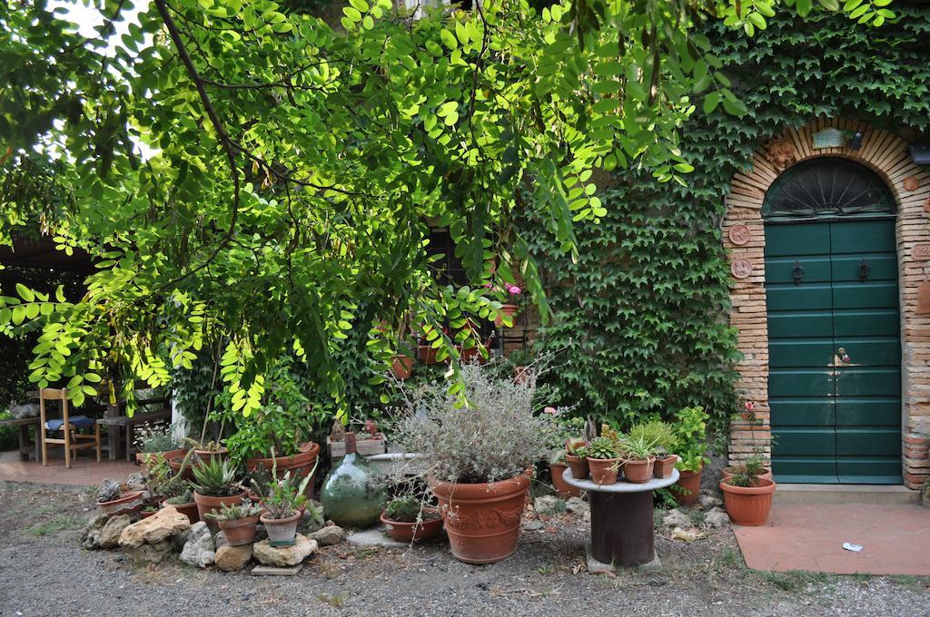 Agriturismo La Leccia Villa Bibbona Eksteriør bilde