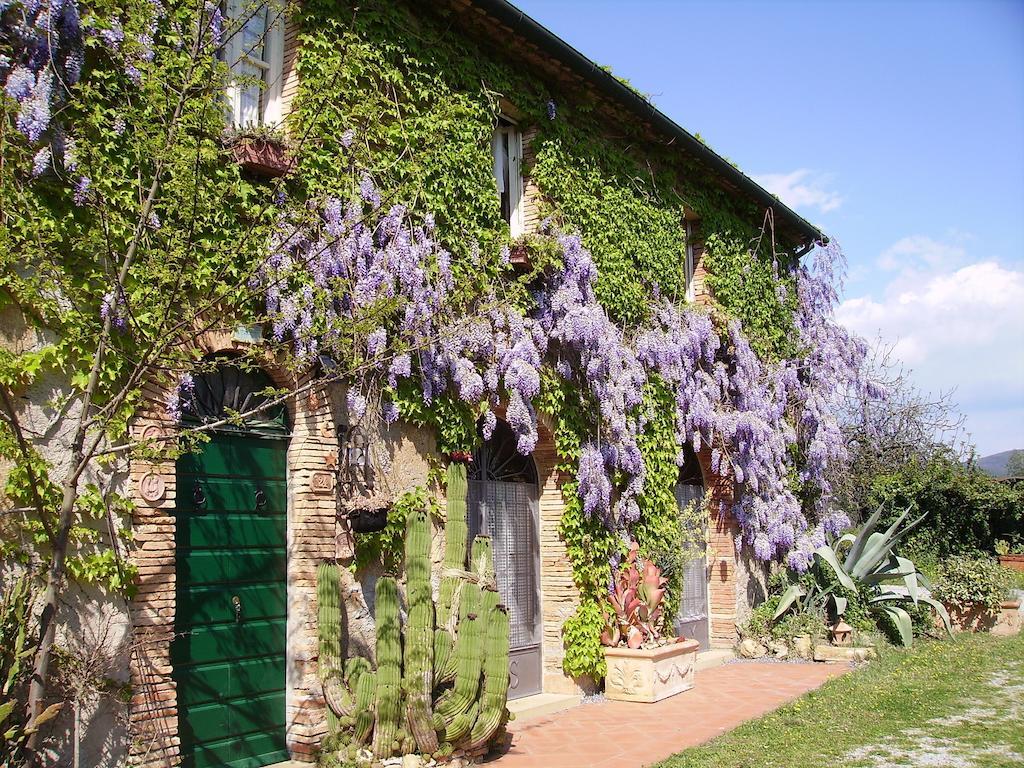 Agriturismo La Leccia Villa Bibbona Eksteriør bilde