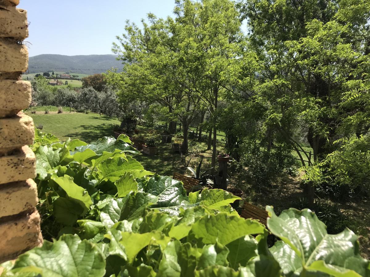 Agriturismo La Leccia Villa Bibbona Eksteriør bilde
